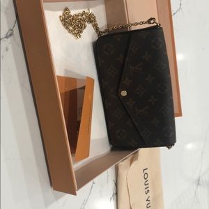 Louis Vuitton Felicie Pochette